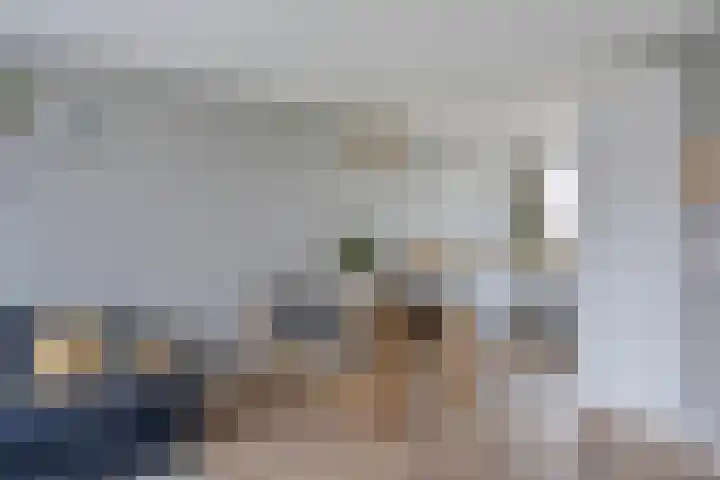 Schaapsveld 35 Barneveld thumbnail 8