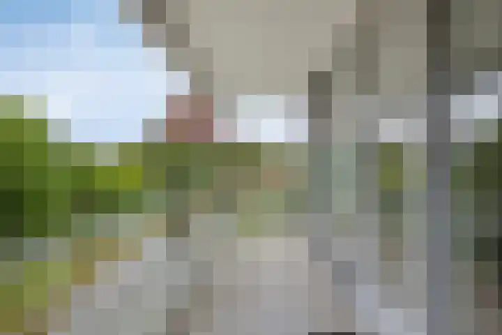 Schaapsveldje 130 's-Hertogenbosch thumbnail 20