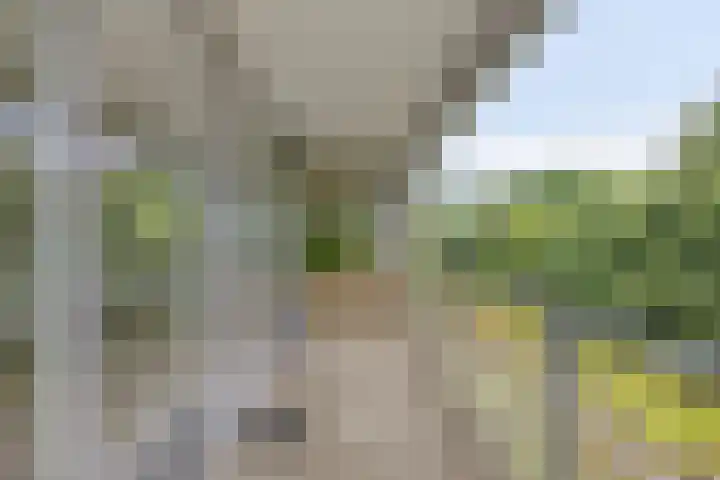 Schaapsveldje 130 's-Hertogenbosch thumbnail 21