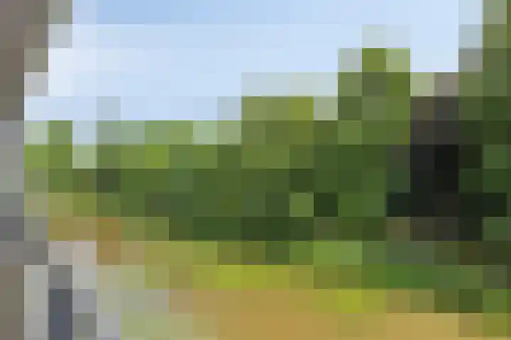 Schaapsveldje 130 's-Hertogenbosch thumbnail 22