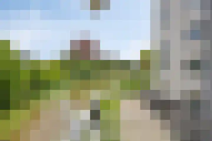 Schaapsveldje 130 's-Hertogenbosch thumbnail 23