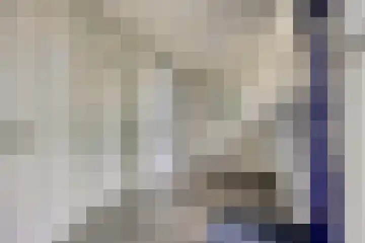 Schaapsveldje 130 's-Hertogenbosch thumbnail 25