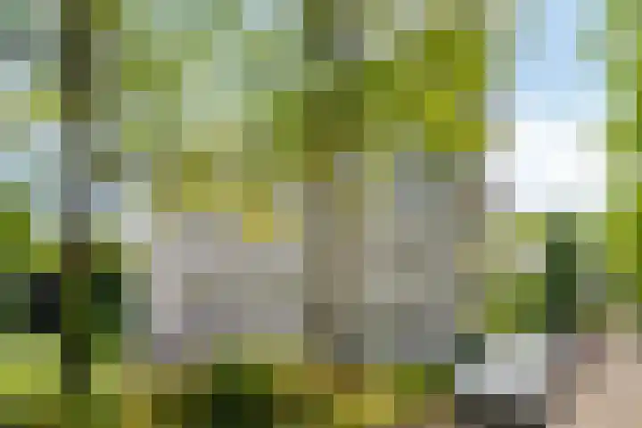 Schaapsveldje 130 's-Hertogenbosch thumbnail 32
