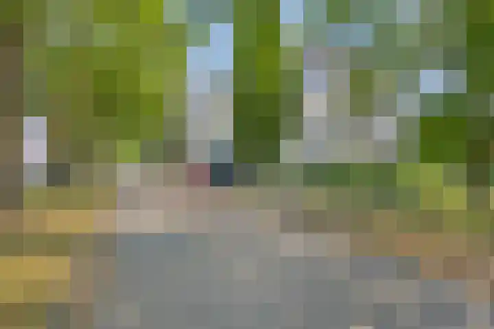 Schaapsveldje 130 's-Hertogenbosch thumbnail 33