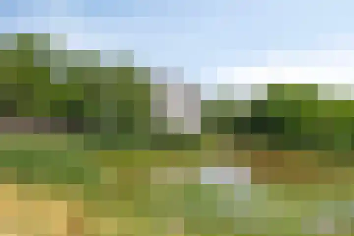 Schaapsveldje 130 's-Hertogenbosch thumbnail 34