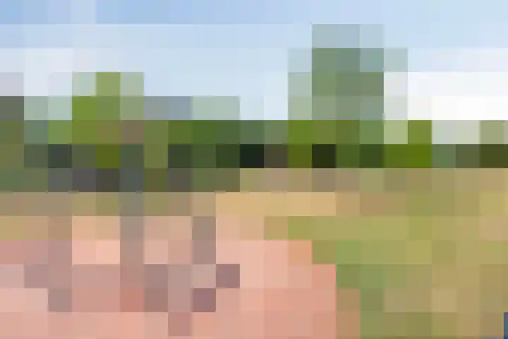 Schaapsveldje 130 's-Hertogenbosch thumbnail 35