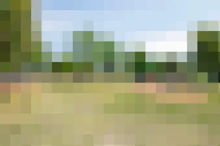 Schaapsveldje 130 's-Hertogenbosch thumbnail 36