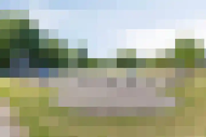Schaapsveldje 130 's-Hertogenbosch thumbnail 37