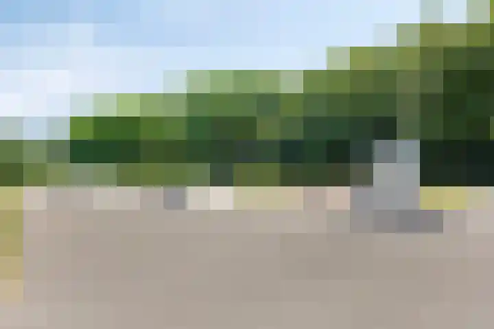 Schaapsveldje 130 's-Hertogenbosch thumbnail 38