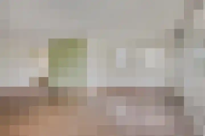 Schaapsveldje 130 's-Hertogenbosch thumbnail 8