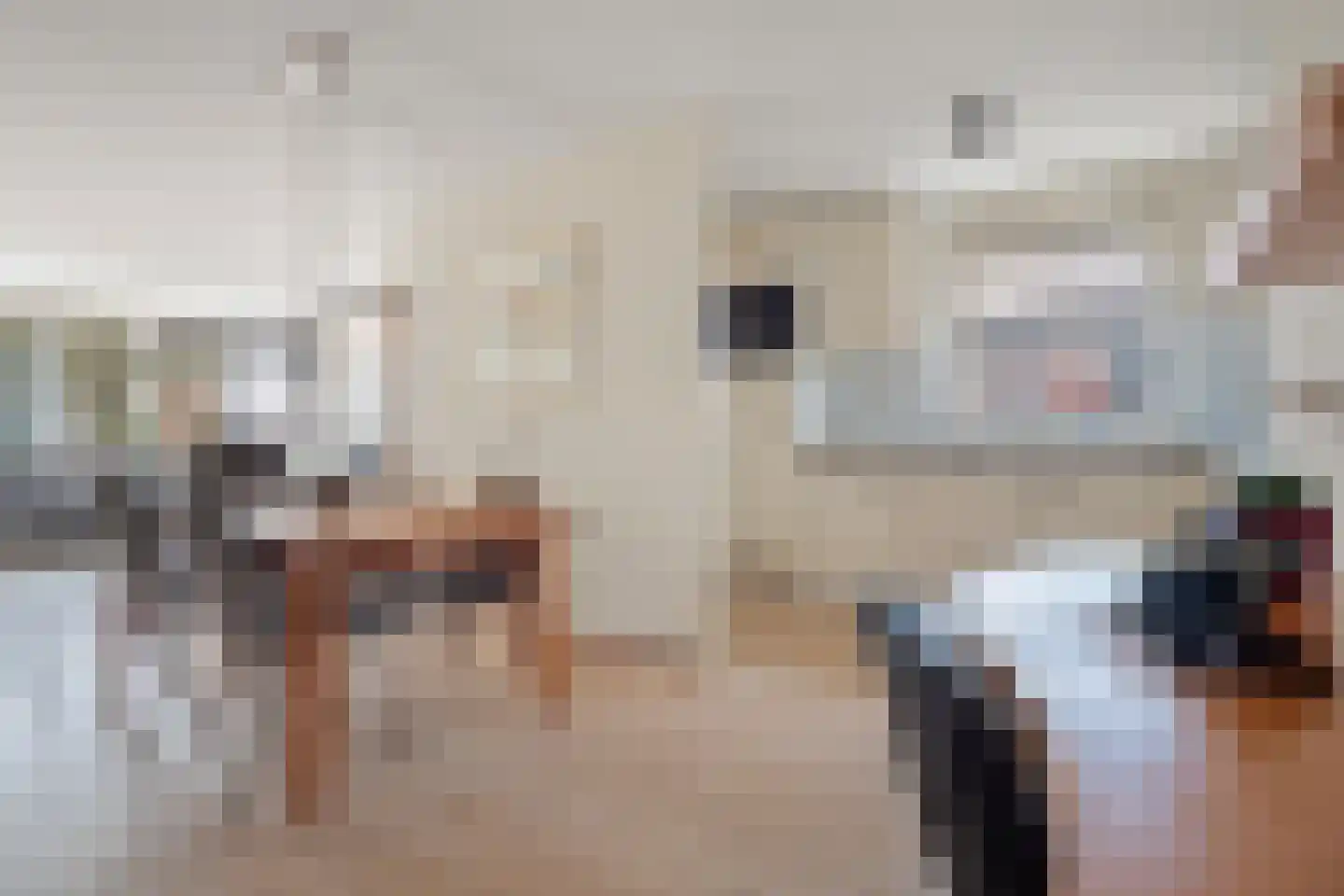 Schaapsveldje 74 's-Hertogenbosch thumbnail 13