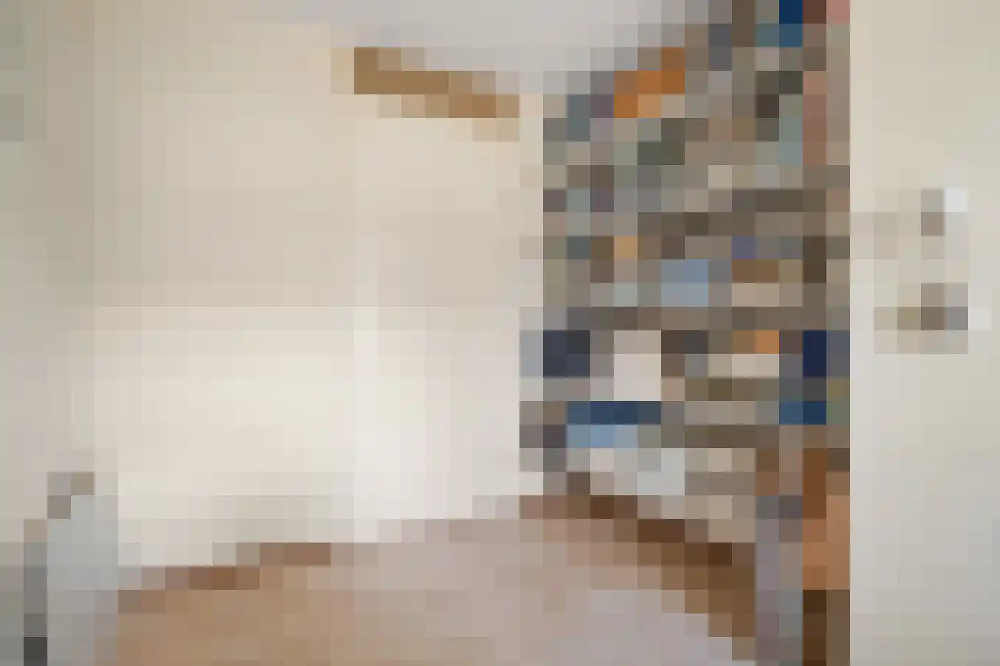 Schaapsveldje 74 's-Hertogenbosch thumbnail 21