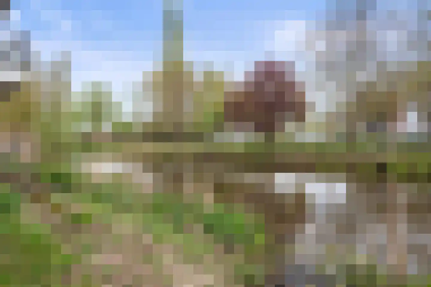 Schaapsveldje 74 's-Hertogenbosch thumbnail 37