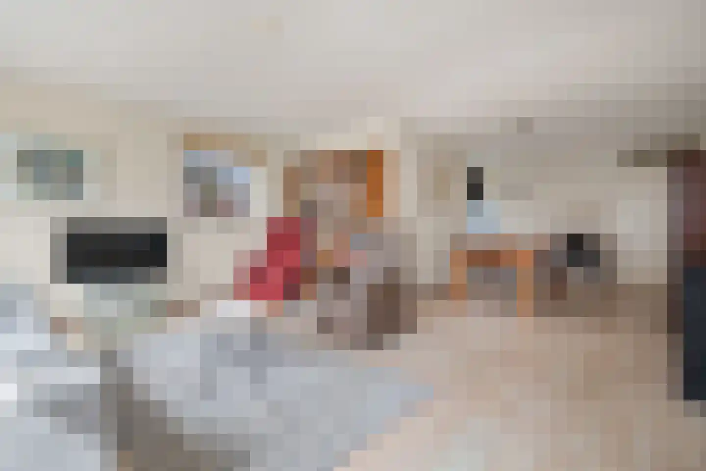 Schaapsveldje 74 's-Hertogenbosch thumbnail 9