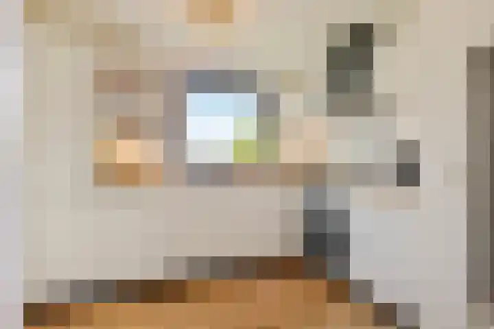 Schaapsveldje 94 's-Hertogenbosch thumbnail 12