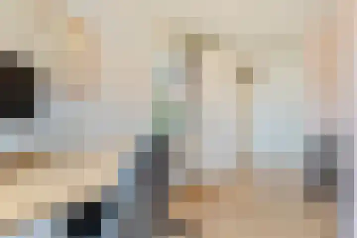 Schaapsveldje 94 's-Hertogenbosch thumbnail 20