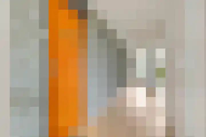 Schaapsveldje 94 's-Hertogenbosch thumbnail 24