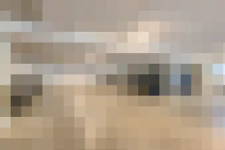 Schaapsveldje 94 's-Hertogenbosch thumbnail 26