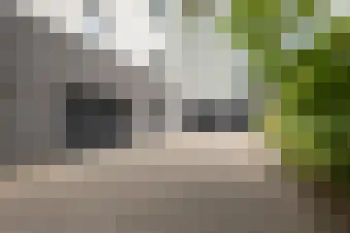 Schaapsveldje 94 's-Hertogenbosch thumbnail 27