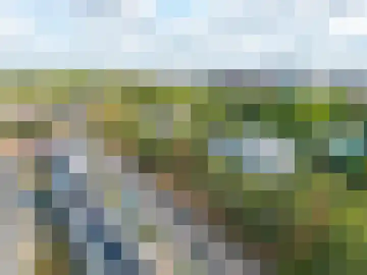 Schaapsveldje 94 's-Hertogenbosch thumbnail 28