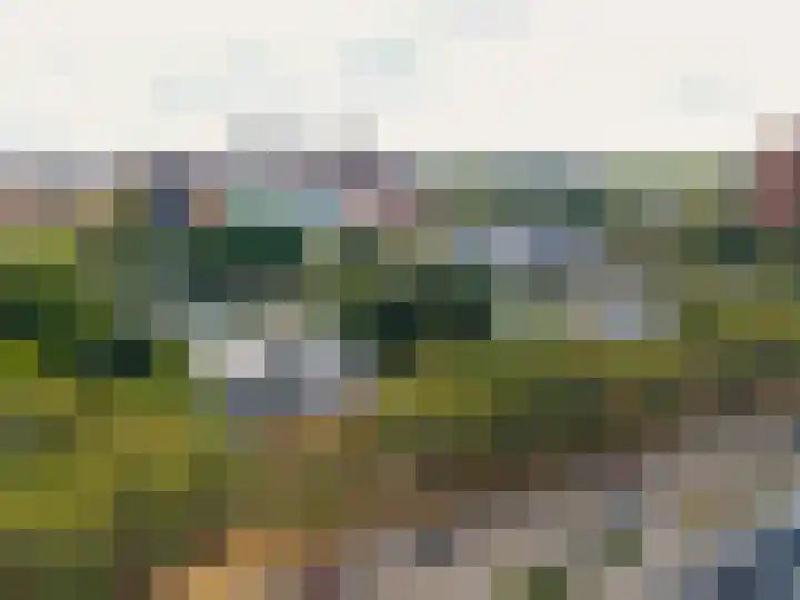 Schaapsveldje 94 's-Hertogenbosch thumbnail 29