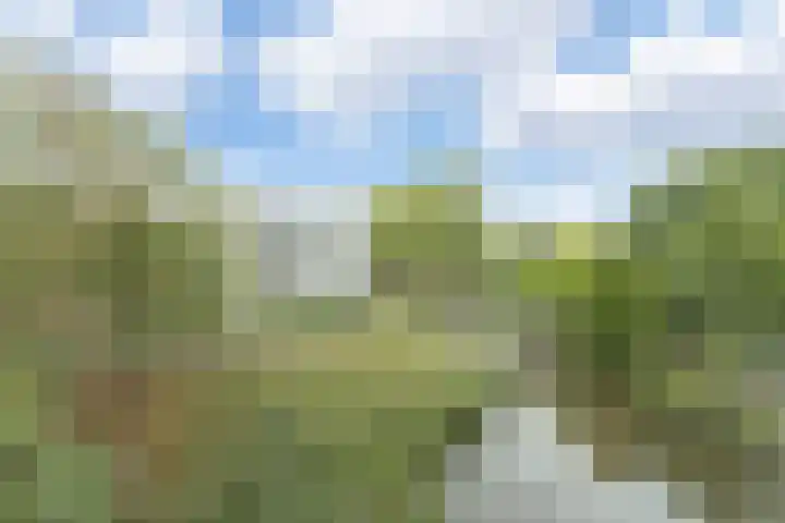 Schaapsveldje 94 's-Hertogenbosch thumbnail 30