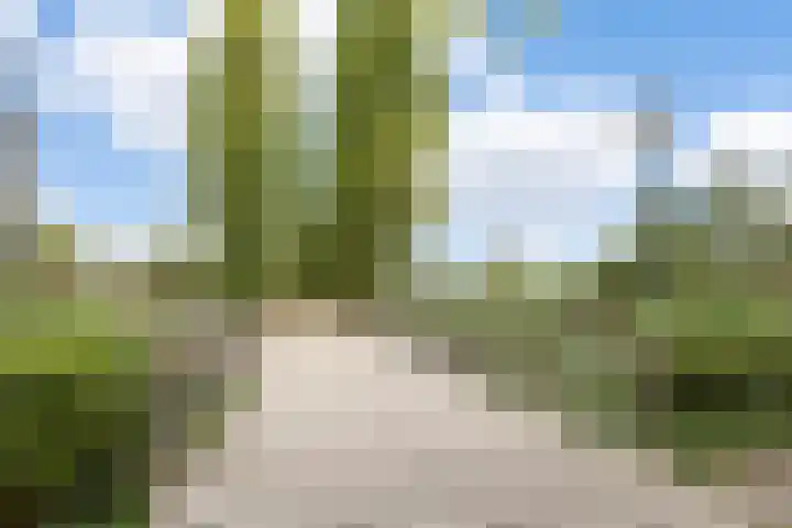 Schaapsveldje 94 's-Hertogenbosch thumbnail 32