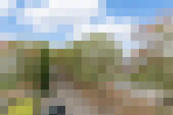 Schaapsveldje 94 's-Hertogenbosch thumbnail 33