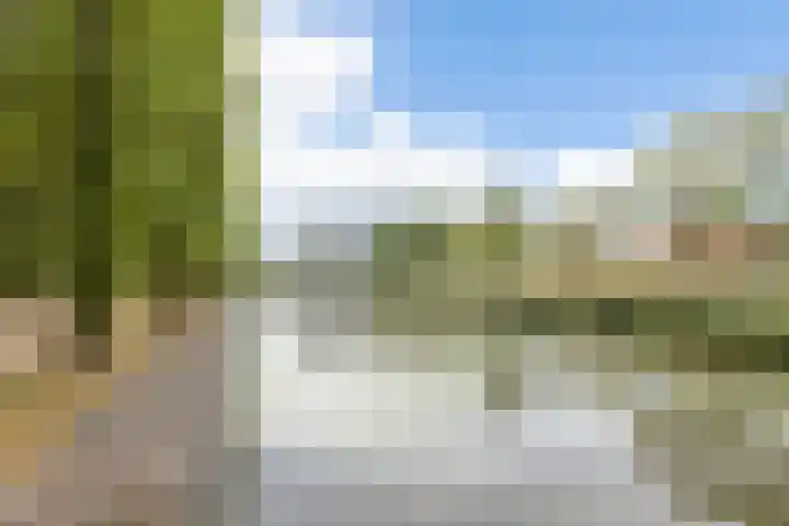 Schaapsveldje 94 's-Hertogenbosch thumbnail 34