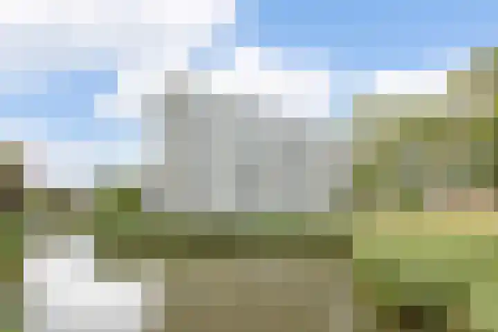 Schaapsveldje 94 's-Hertogenbosch thumbnail 35