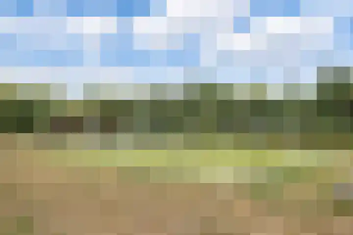 Schaapsveldje 94 's-Hertogenbosch thumbnail 36