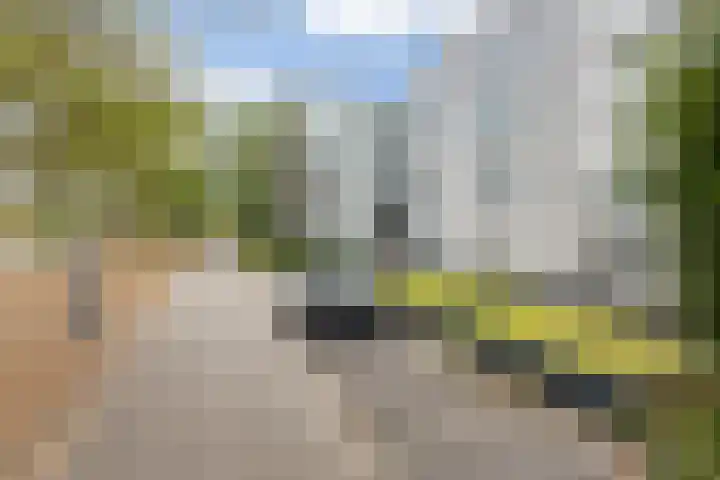 Schaapsveldje 94 's-Hertogenbosch thumbnail 37