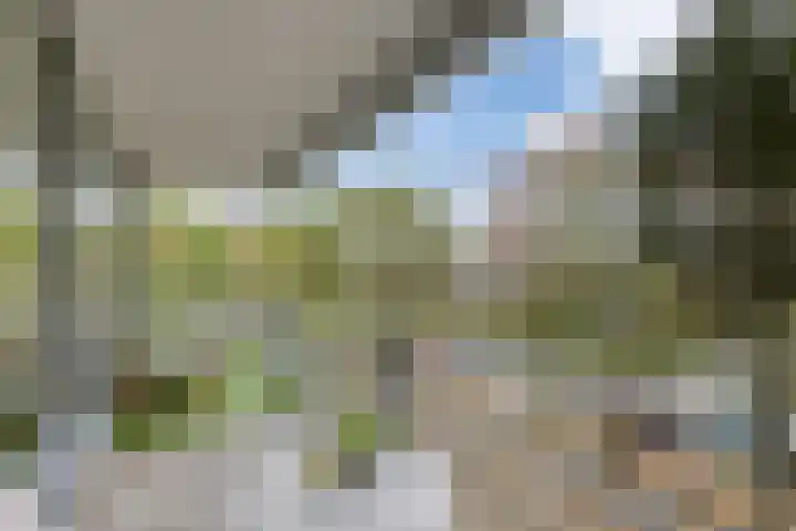 Schaapsveldje 94 's-Hertogenbosch thumbnail 6
