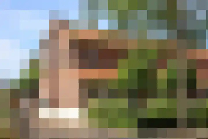 Schaapsweg 15 Ede