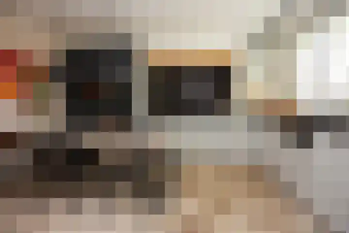 Schaapsweg 15 Ede thumbnail 13