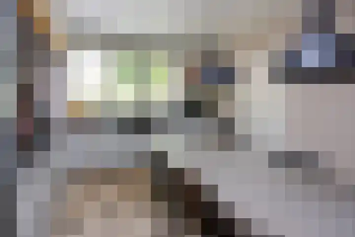 Schaapsweg 15 Ede thumbnail 14