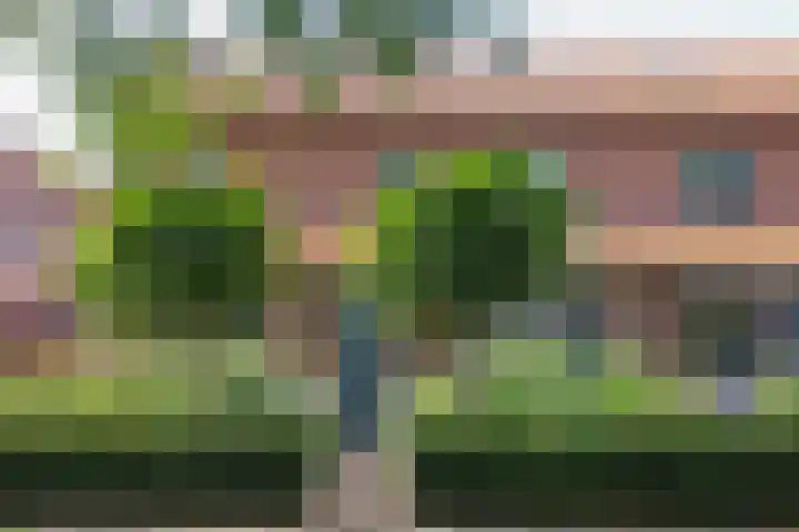 Schaapsweg 15 Ede foto 2
