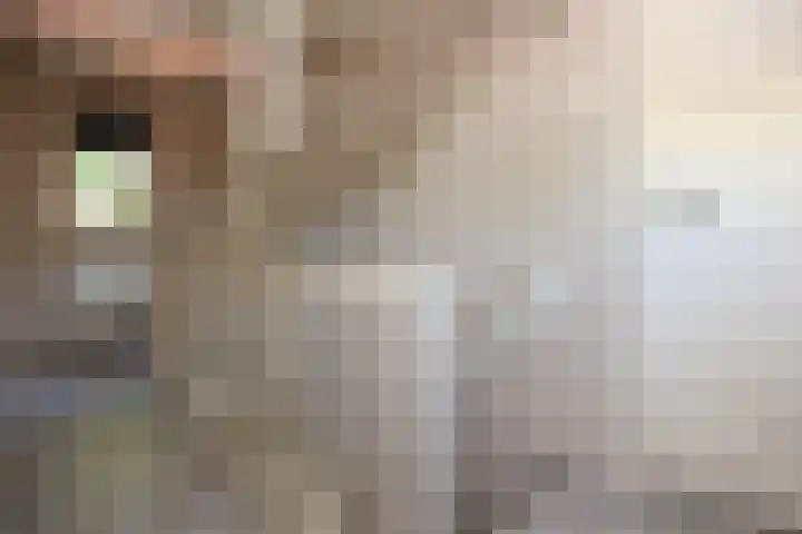 Schaapsweg 15 Ede thumbnail 20