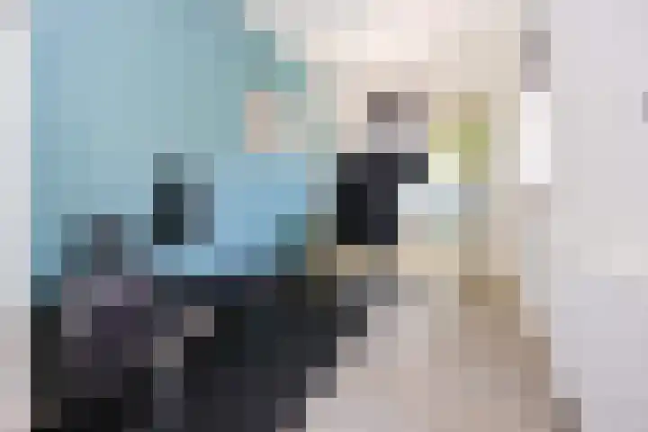 Schaapsweg 15 Ede thumbnail 24