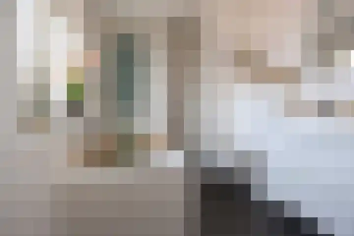 Schaapsweg 15 Ede thumbnail 25