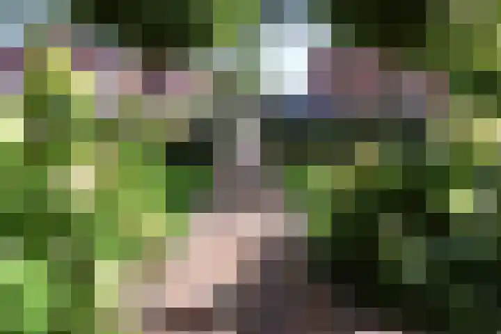 Schaapsweg 15 Ede foto 3