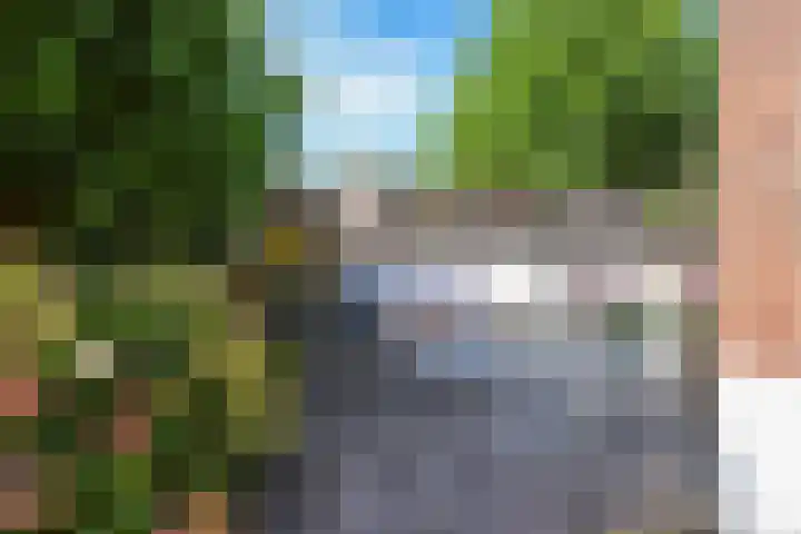 Schaapsweg 15 Ede thumbnail 34