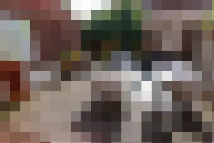 Schaapsweg 15 Ede thumbnail 35