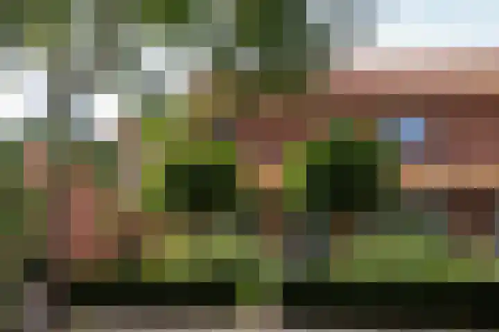 Schaapsweg 15 Ede thumbnail 39