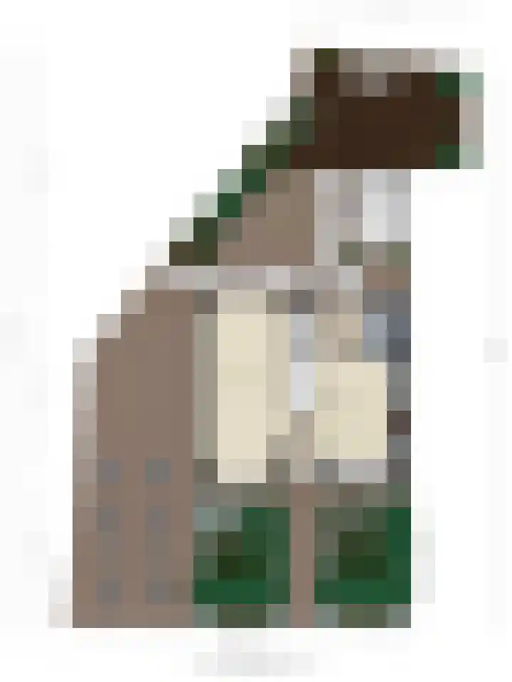 Schaapsweg 15 Ede thumbnail 46