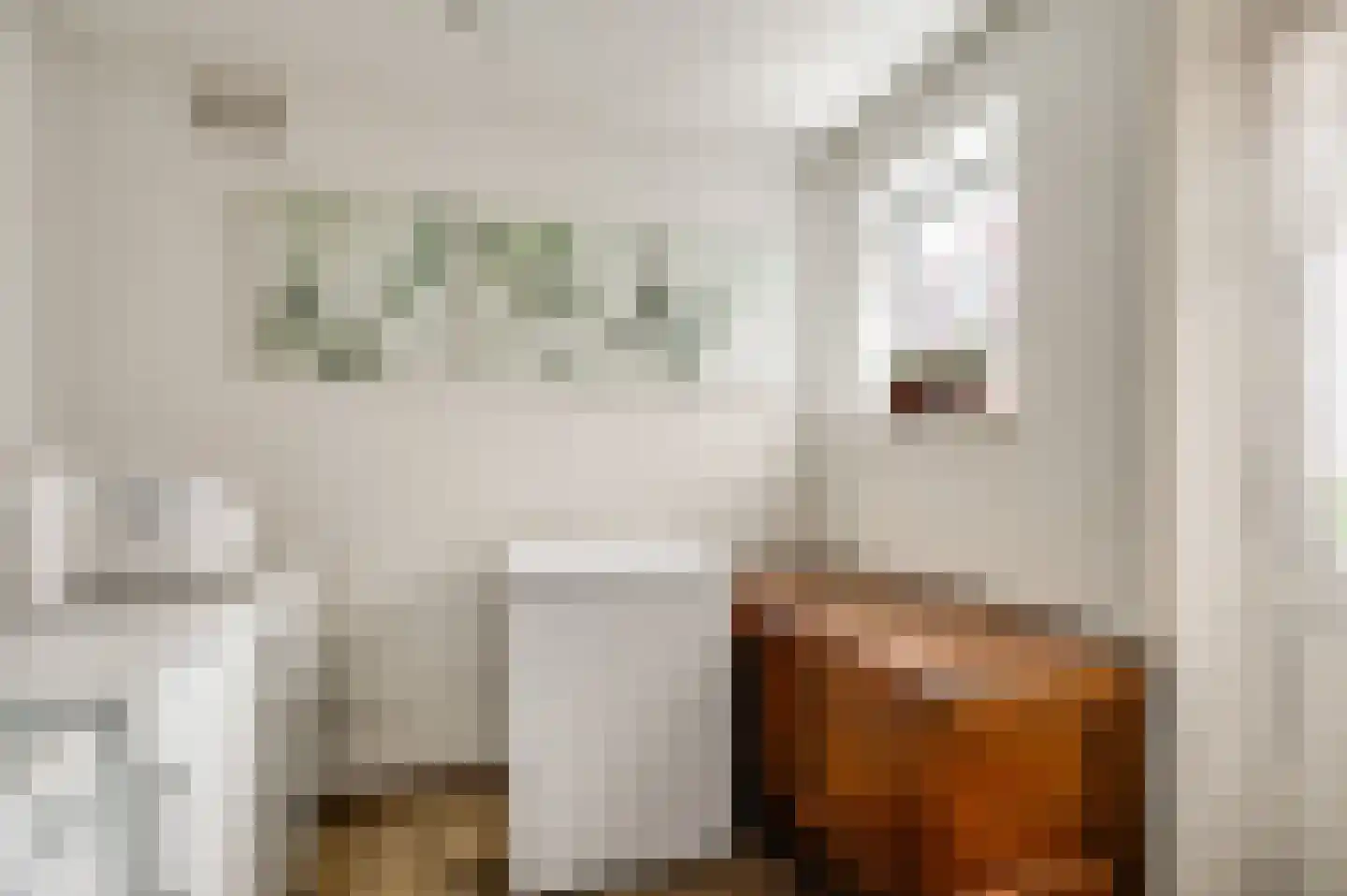Schaapsweg 2 a Herkenbosch thumbnail 13