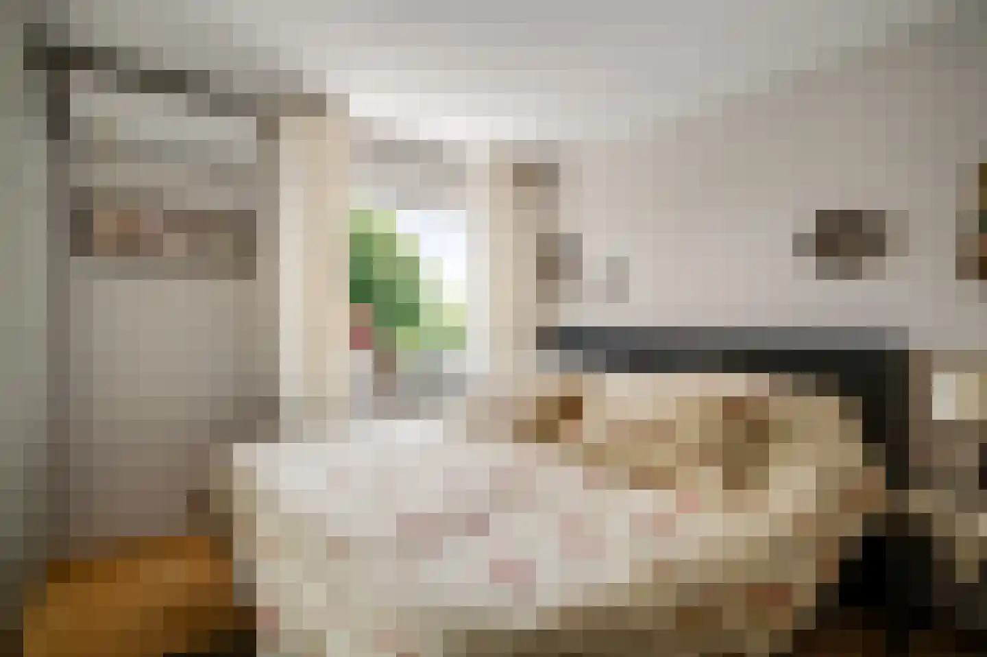 Schaapsweg 2 a Herkenbosch thumbnail 14