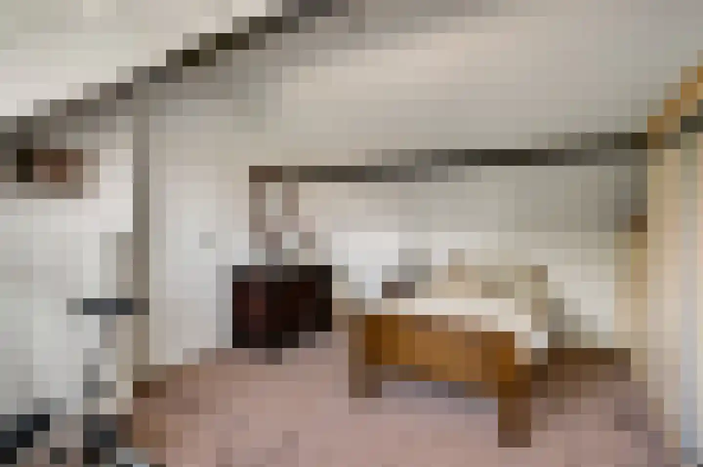 Schaapsweg 2 a Herkenbosch thumbnail 19
