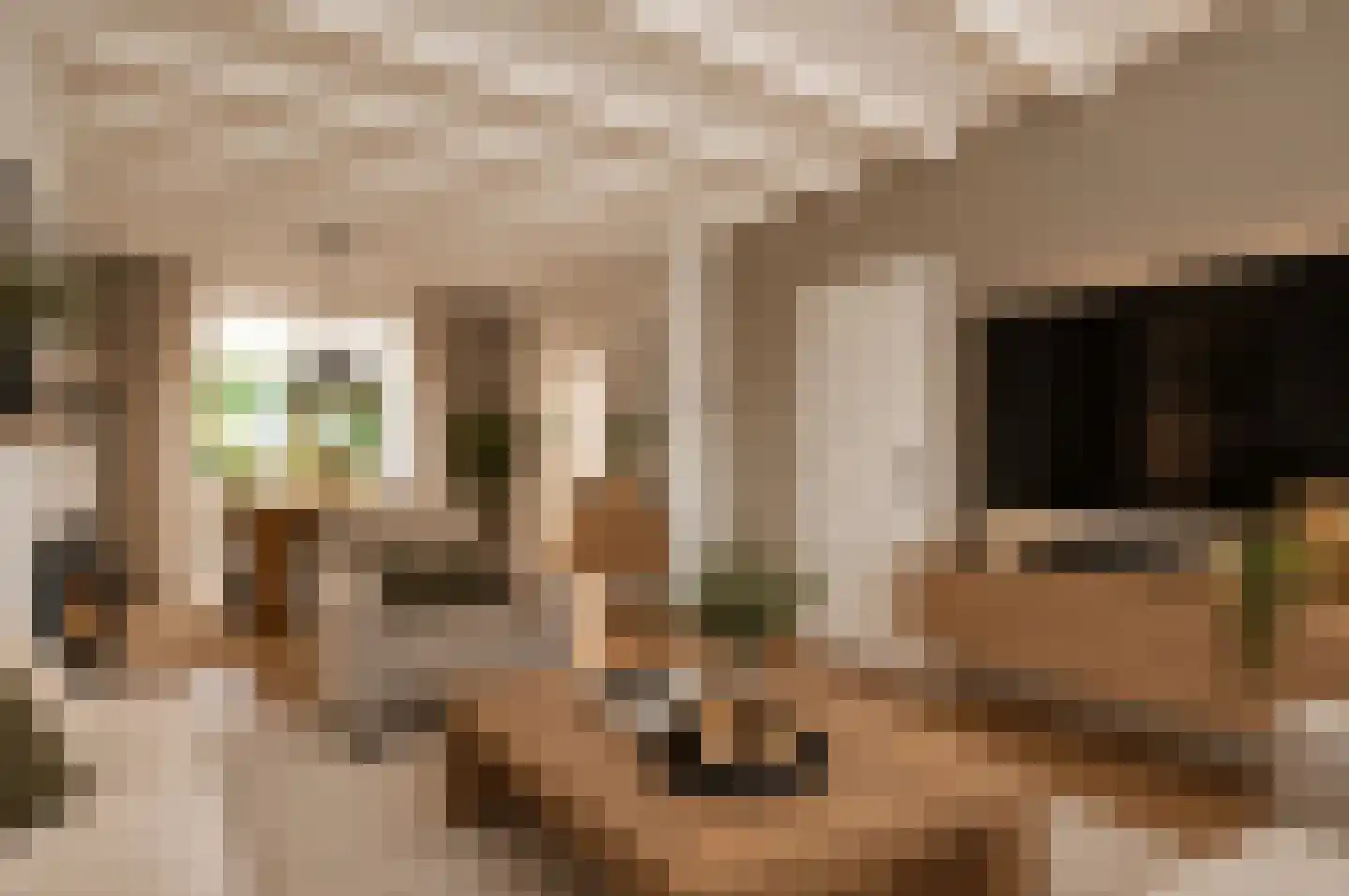 Schaapsweg 2 a Herkenbosch foto 2