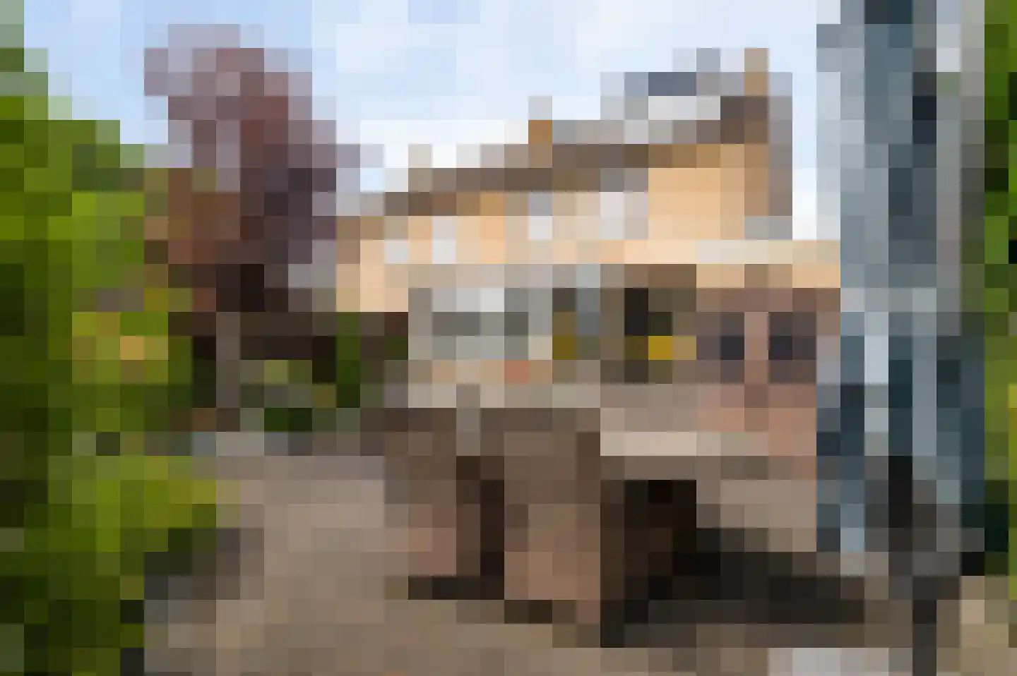 Schaapsweg 2 a Herkenbosch thumbnail 21